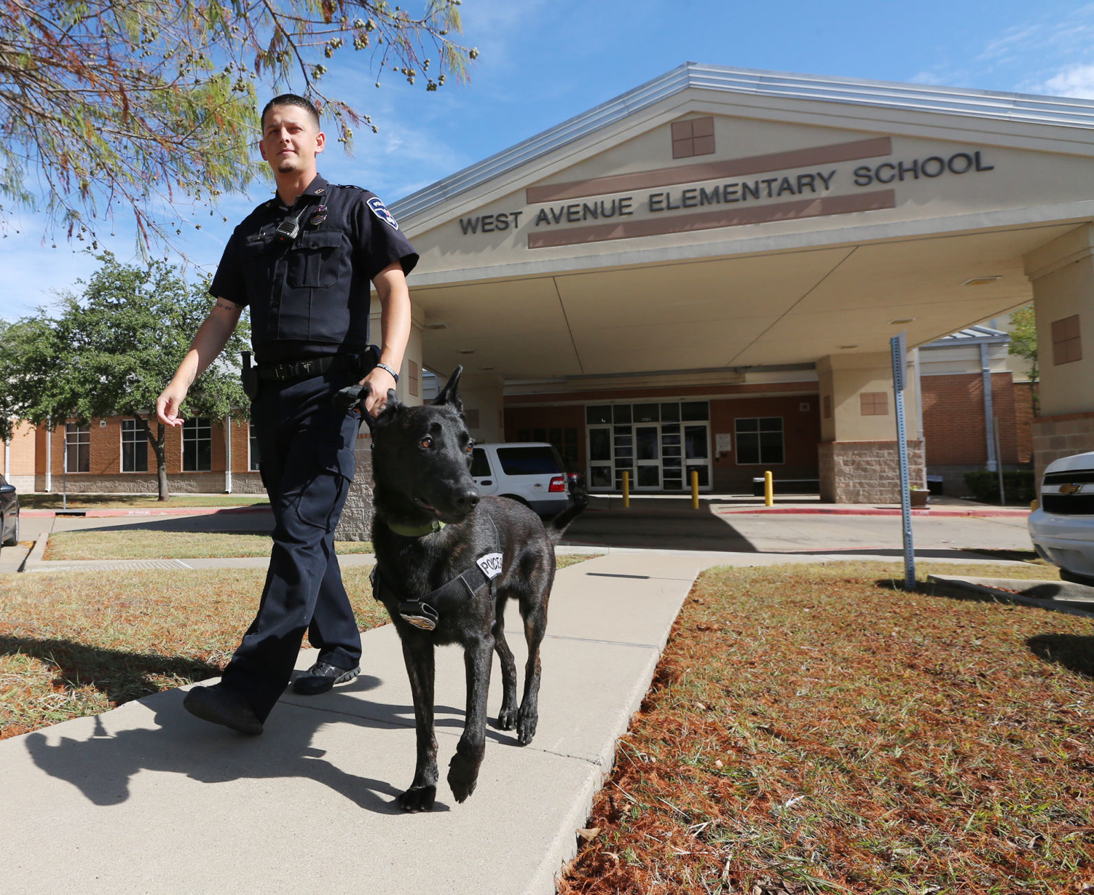 WISD police dog